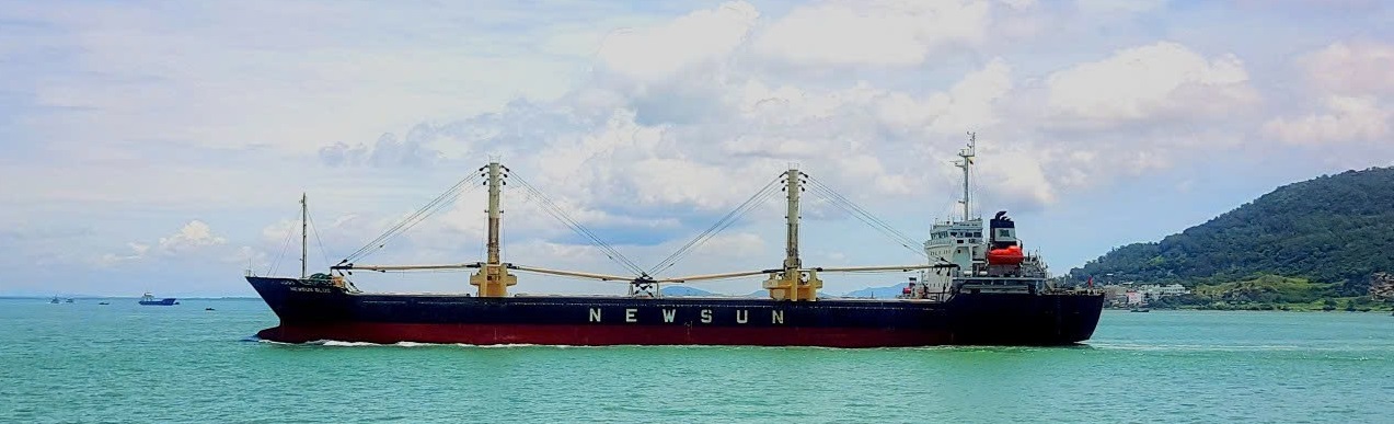 Công ty Cổ phần Vận tải biển và Thương mại New Sun 